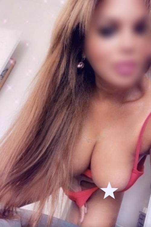 TS Bellamia