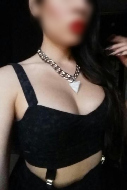 TS Katt Luxe