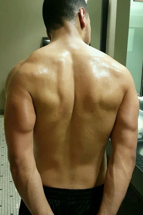 BigBull1